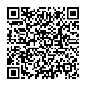 她说的zen和他说的chan还是有许些不同对一个出身基督教和犹太教家庭二维码生成