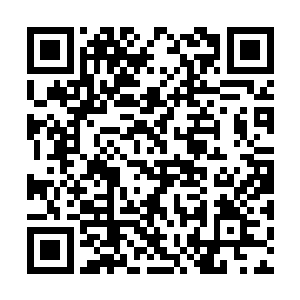 她说这些……其实……她其实是担心我害怕那些蛇二维码生成