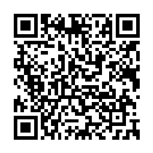 她说这话的意思不就是压根儿不理会我的意见嘛二维码生成