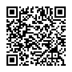 她说错了会不会今晚就不会从这个屋子里走出去二维码生成