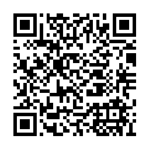 她起初以为殷蔓蔓积极主动的花高价给张锋治疗二维码生成