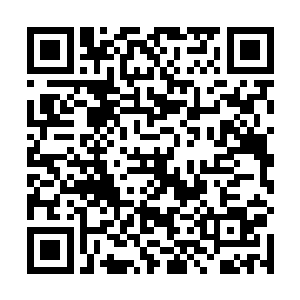 她越发地觉得眼前的林上风是一个为弟子着想的好宗主二维码生成