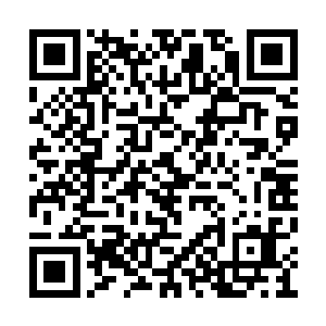 她趴在秦洛和她住过的房间廊檐下就不愿意挪身二维码生成