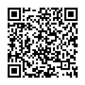 她跟我家慧儿根本就不是真正的血缘关系的姐妹二维码生成