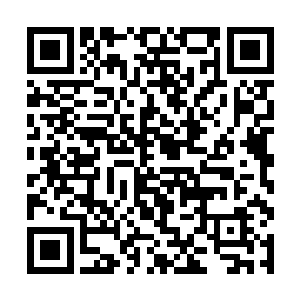 她身上的伤没有七天左右的时间也不可能完全恢复的二维码生成