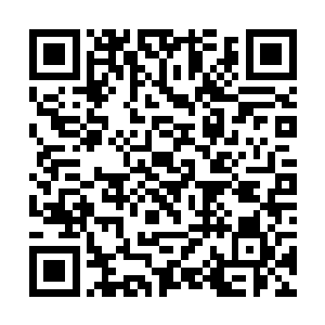 她身上的气息已经渐渐地逼近了半步圣级大圆满境界二维码生成