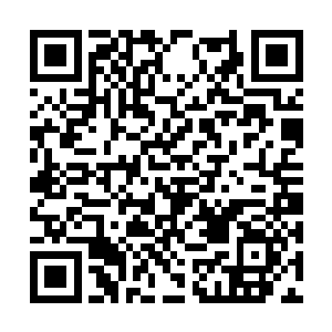 她身上那青色的衣衫和竹的颜色比起来要浅上许多二维码生成