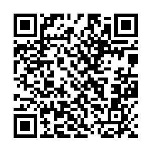 她身后的王淑芳等人马上就会变成藤野原子的刀下游魂二维码生成