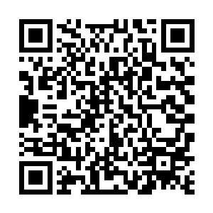 她身旁的白衣女子正是自己在刑天墓外帮助过的白冰儿二维码生成