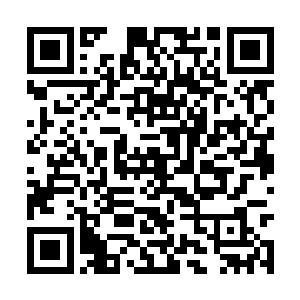 她身边的小丫鬟立刻将一把七弦琴递到了她的手中二维码生成
