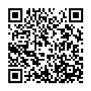 她转头望了一眼已经被鲜血染红了半个身子的江逸二维码生成