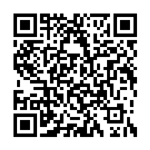 她还一度怀疑叶凡刚才就藏在自己姐姐的洗手间二维码生成