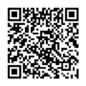 她还不曾听到过比他能把这首曲子弹的这么完美的人二维码生成