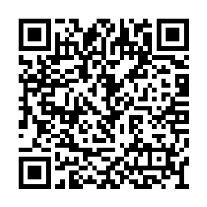 她还想着有龙战的保护凌菲以后再也不会遭罪了二维码生成