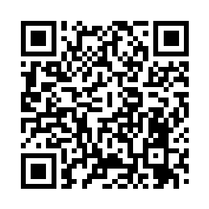 她还是一个刚刚从学校出来的黄毛丫头二维码生成