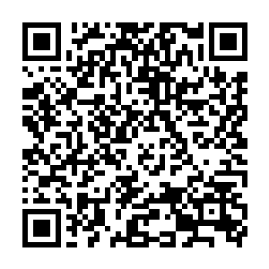 她还是无法放任有可能只是普通平民的人进入这种禁止进入的危险地带二维码生成