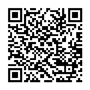 她还是第一次看到白素仙在一个男人面前这么乖巧二维码生成