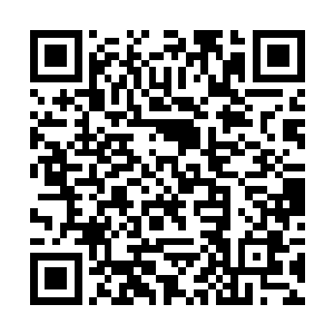 她还没有真正感受到离歌在这首曲子里想留给她什么二维码生成