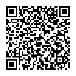 她还记得当年的自己是怀着怎样忐忑的心情走进这座在她眼中不亚于皇宫的地方二维码生成