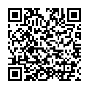 她还蹬鼻子上脸了――仇仲庸和仇仲谋都被人打成这样二维码生成