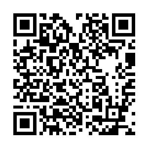 她这个破解禁制的做法不但让她得到了她最缺乏的因果二维码生成