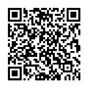 她这个罗天上仙巅峰可是与一般的罗天上仙巅峰不同二维码生成