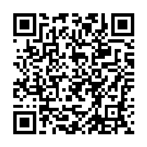 她这几十年来精心培养的心腹全被夜辜星给一棍打死二维码生成