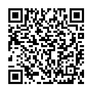 她这心里面也不是很肯定的……但有一点是毫无疑问的二维码生成