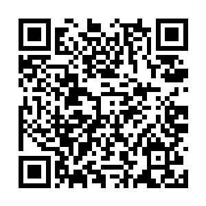 她这样聪慧的女子怎么会真的傻到什么都看不明白二维码生成