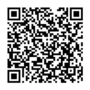 她这次要做的就是将自己的本体强度完全稳固在圣级九层后期巅峰二维码生成