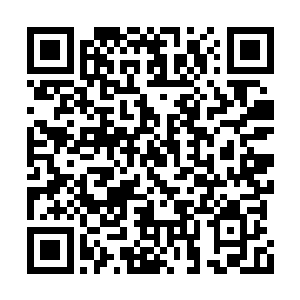 她这种假冒伪劣小绵羊是无论如何也别想逃掉的二维码生成