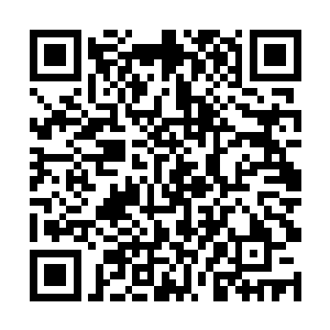 她这种就仿似监工一般的语气叫陈诚听了有些不舒服二维码生成