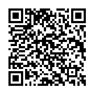 她这脸变得比翻书还快的换上了一副开心的神色二维码生成