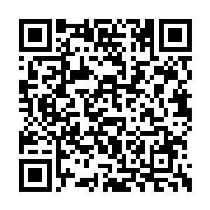 她连所有公寓楼的室内装修方案都包括在里面了二维码生成
