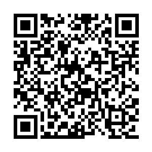 她迷迷糊糊就跟着来到了斜对面菜馆的包厢里面二维码生成