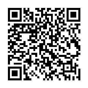 她选择中原的方向就是要给追逐自己的青火宗修士一个错觉二维码生成