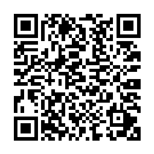 她那一双乌黑而漂亮的大眼睛望着剑尘那易容之后的平凡面庞二维码生成