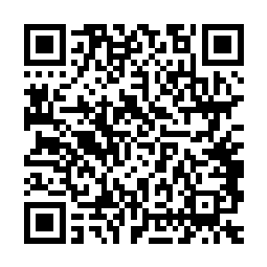 她那即使是自掏腰包刷票房也在所不惜的凶狠彻底吓到了布拉德二维码生成