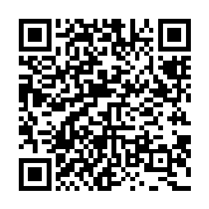 她那本就姣好魅惑的面容更是在这一刹那让苏凡心动不已二维码生成