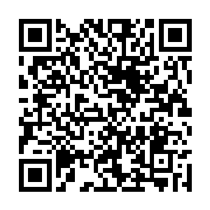 她都会先认真的听下面的经验丰富的老刑警的分析二维码生成