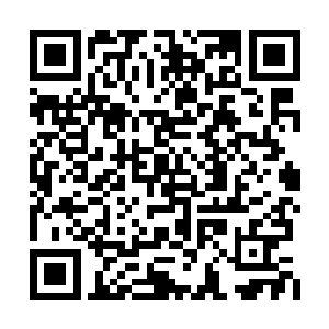 她重新将目光投向了那正在争锋的红黄两色光芒二维码生成