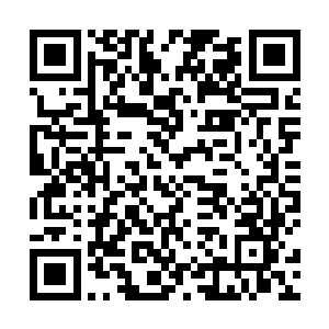 她随手从储物袋中掏出一张鉴定符朝梓箐方向扔了过去二维码生成