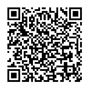 她随时可以救场用仙宝空间保下众人……所以说这个免费保镖的性价比二维码生成