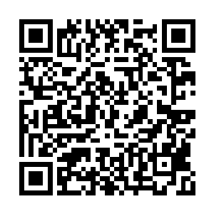 她隐约听到骷髅头形里传来一道不可置信的声音二维码生成