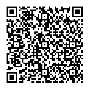 她频繁离组参加颁奖典礼和社会活动肯定会沦为衬托克里斯托弗的对照组――珍妮不觉得大卫二维码生成