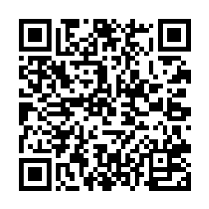 她马上察觉到了从飞火蚁身上涌过来的热量颇具威胁二维码生成