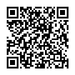 好一会儿这才抬起脸看着安少的下巴用无比认真的语气说道二维码生成