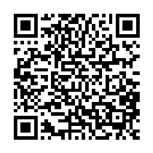 好一张利嘴……就是不知你的身手是否和你那诡辩一样厉害……二维码生成