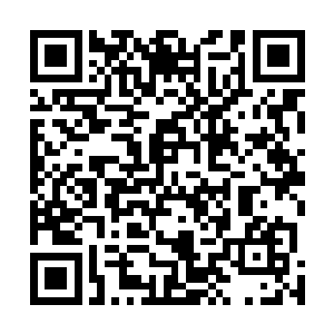 好一段时间没在一起的苗毅和战如意终于又同行在了一起二维码生成