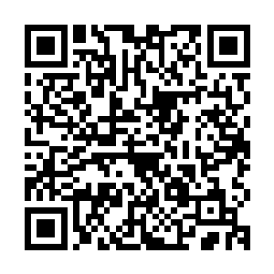 好不容易才松了口气的楚旬等人脸色也一下变得极为难看了起来二维码生成